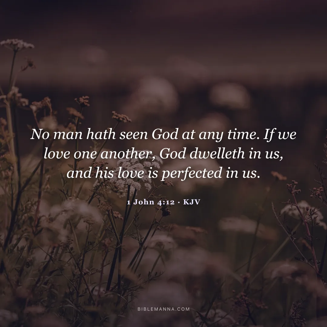 "No man hath seen God at any time. If we love one another, God dwelleth in us, and his love is perfected in us." - 1 John 4:12 (KJV)