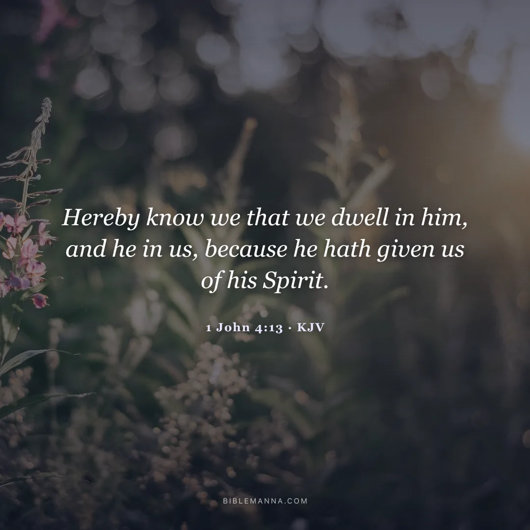 "Hereby know we that we dwell in him, and he in us, because he hath given us of his Spirit." - 1 John 4:13 (KJV)