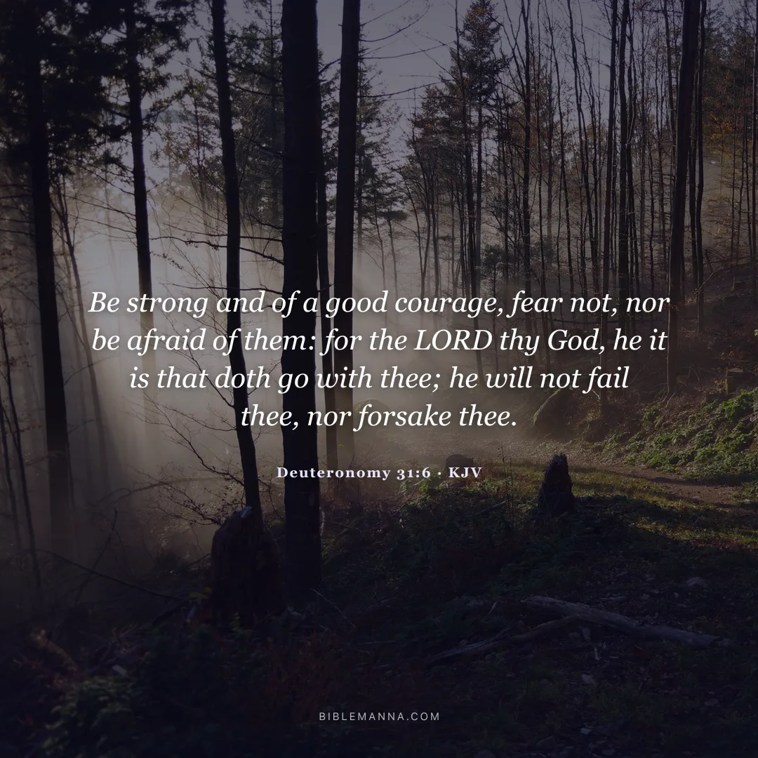 "Be strong and of a good courage, fear not, nor be afraid of them: for the LORD thy God, he it is that doth go with thee; he will not fail thee, nor forsake thee." - Deuteronomy 31:6 (KJV)
