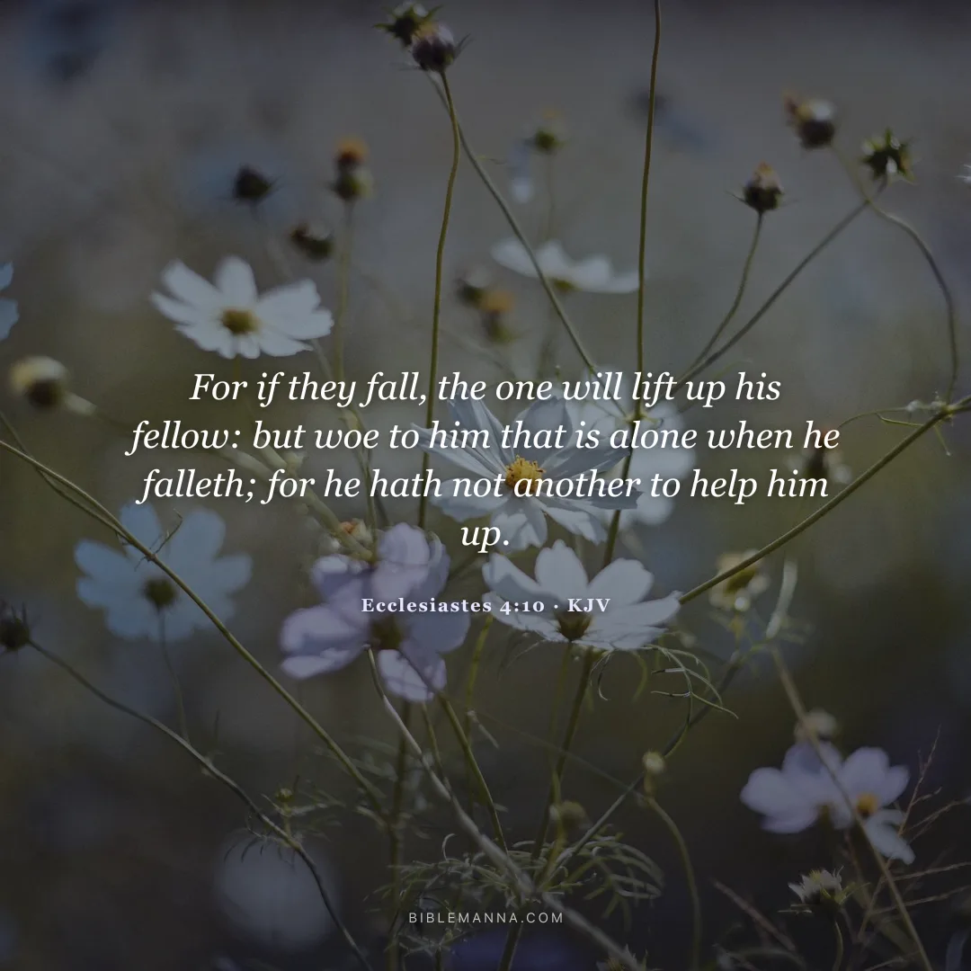 "For if they fall, the one will lift up his fellow: but woe to him that is alone when he falleth; for he hath not another to help him up." - Ecclesiastes 4:10 (KJV)