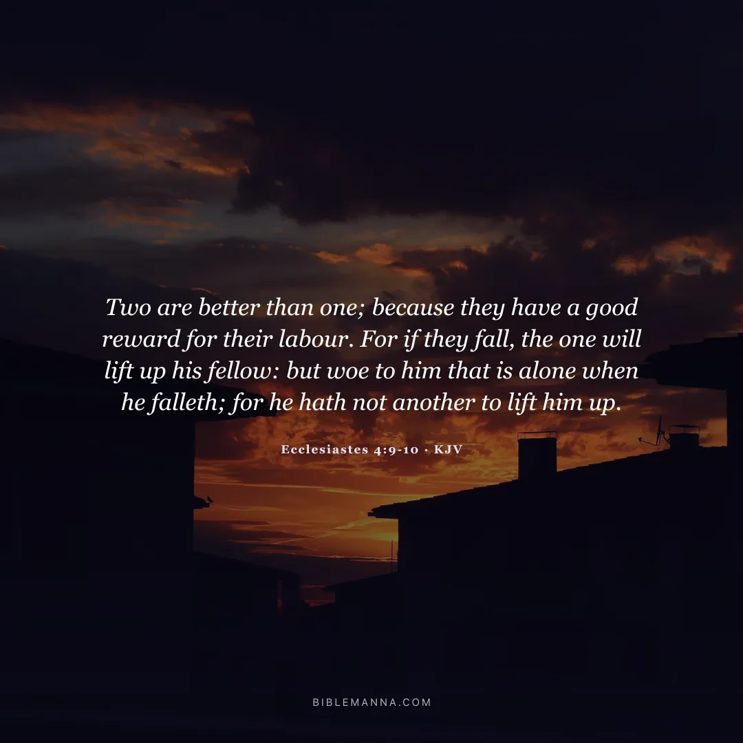 "Two are better than one; because they have a good reward for their labour. For if they fall, the one will lift up his fellow: but woe to him that is alone when he falleth; for he hath not another to lift him up." - Ecclesiastes 4:9-10 (KJV)