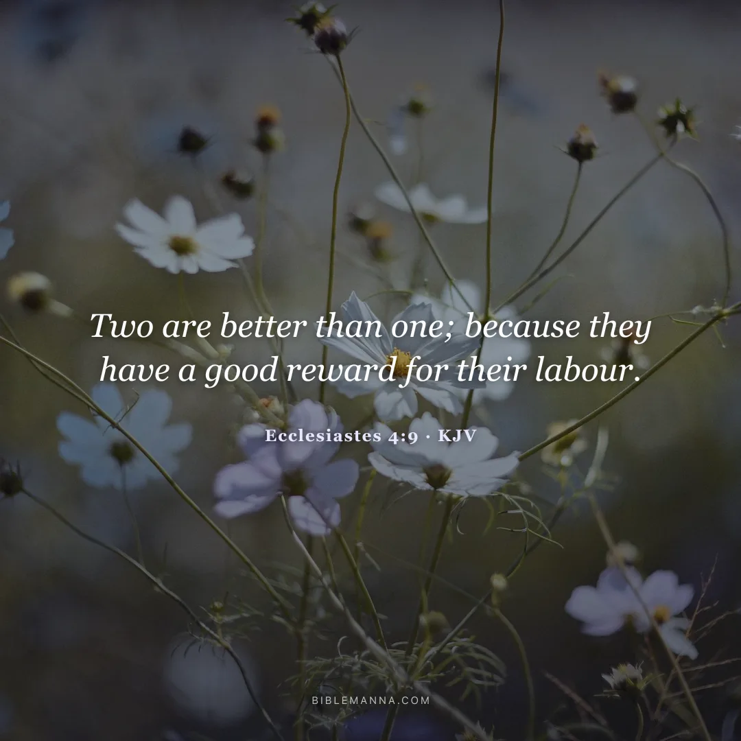 "Two are better than one; because they have a good reward for their labour." - Ecclesiastes 4:9 (KJV)