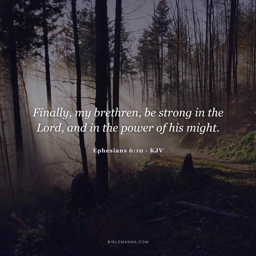 "Finally, my brethren, be strong in the Lord, and in the power of his might." - Ephesians 6:10 (KJV)
