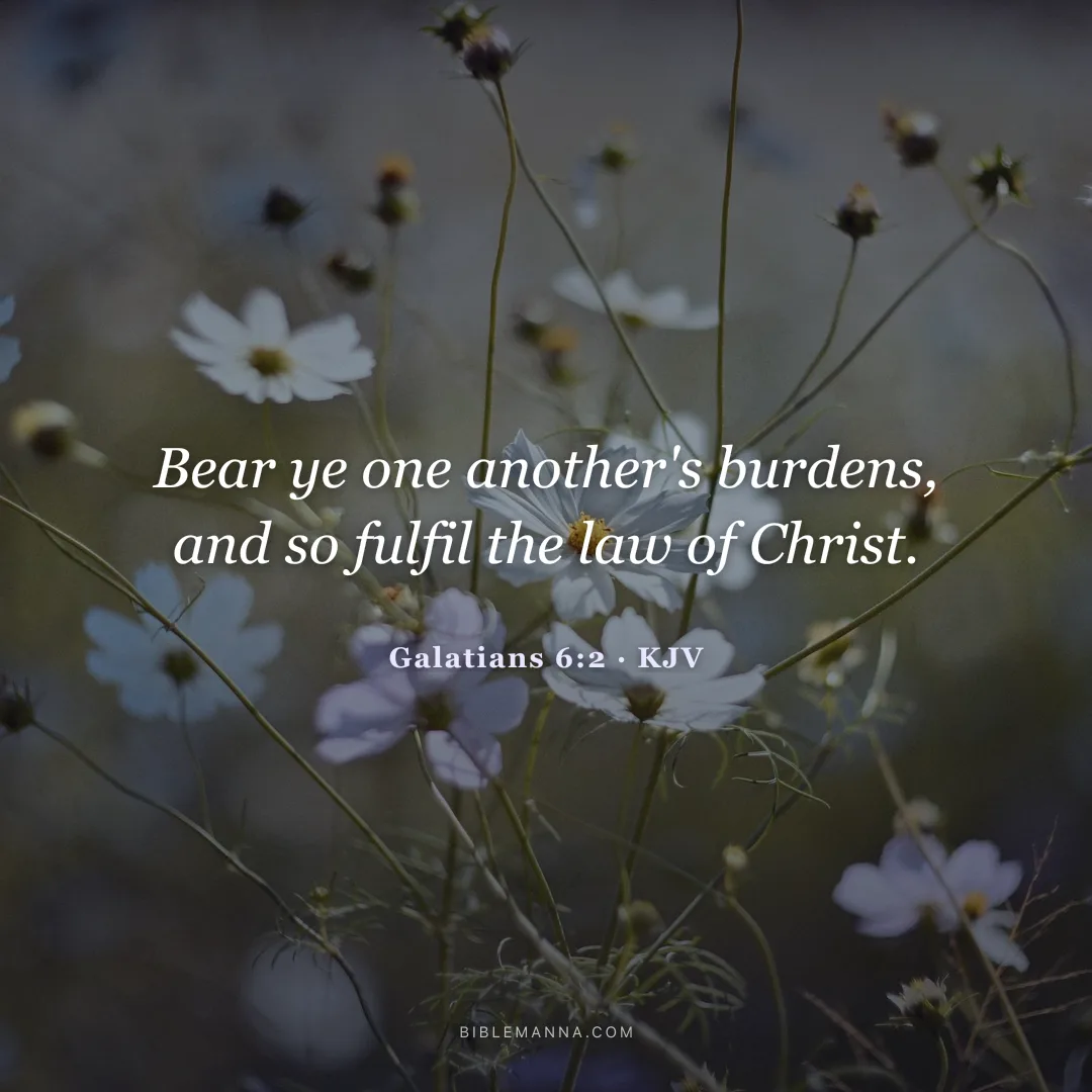 "Bear ye one another's burdens, and so fulfil the law of Christ." - Galatians 6:2 (KJV)