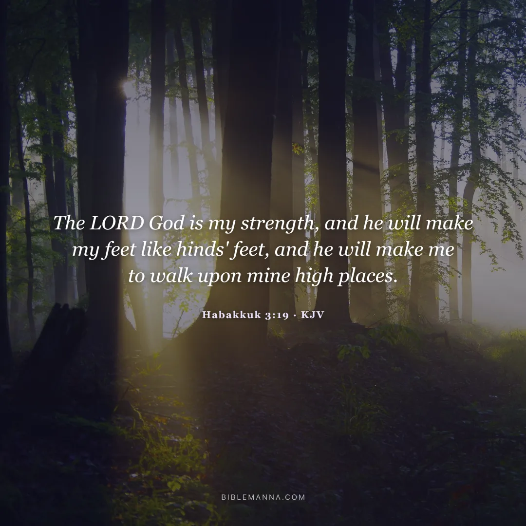 "The LORD God is my strength, and he will make my feet like hinds' feet, and he will make me to walk upon mine high places." - Habakkuk 3:19 (KJV)