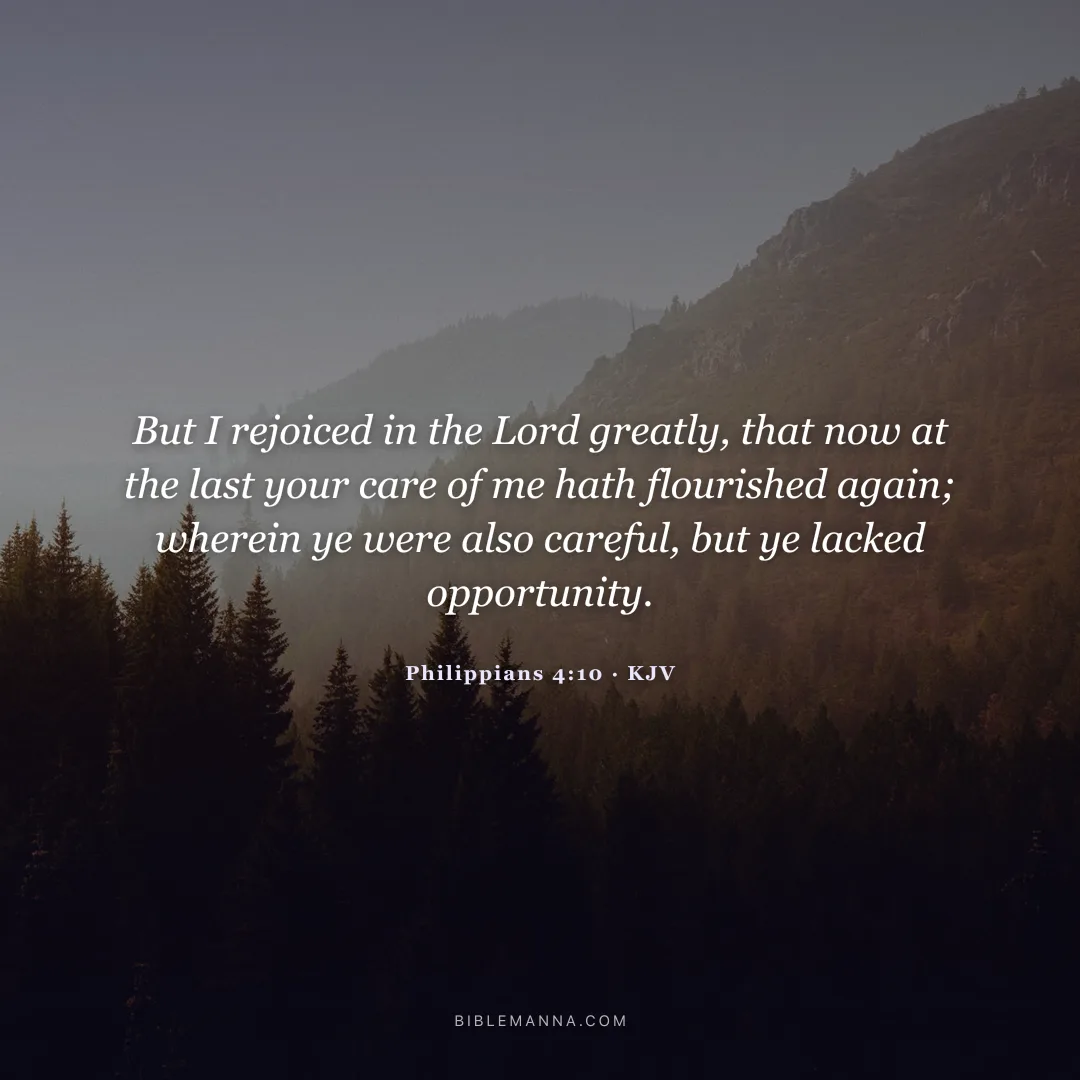 "But I rejoiced in the Lord greatly, that now at the last your care of me hath flourished again; wherein ye were also careful, but ye lacked opportunity." - Philippians 4:10 (KJV)