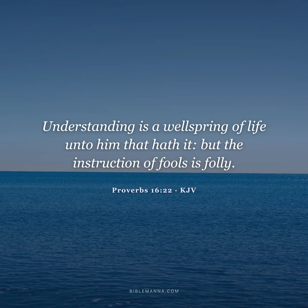 "Understanding is a wellspring of life unto him that hath it: but the instruction of fools is folly." - Proverbs 16:22 (KJV)