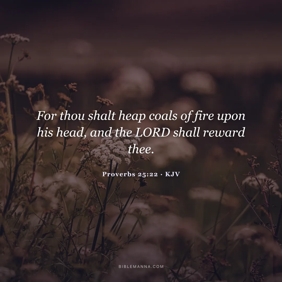 "For thou shalt heap coals of fire upon his head, and the LORD shall reward thee." - Proverbs 25:22 (KJV)