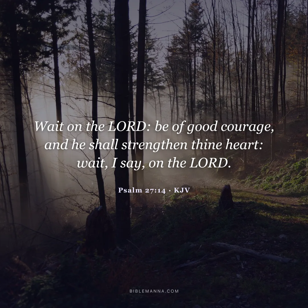 "Wait on the LORD: be of good courage, and he shall strengthen thine heart: wait, I say, on the LORD." - Psalm 27:14 (KJV)