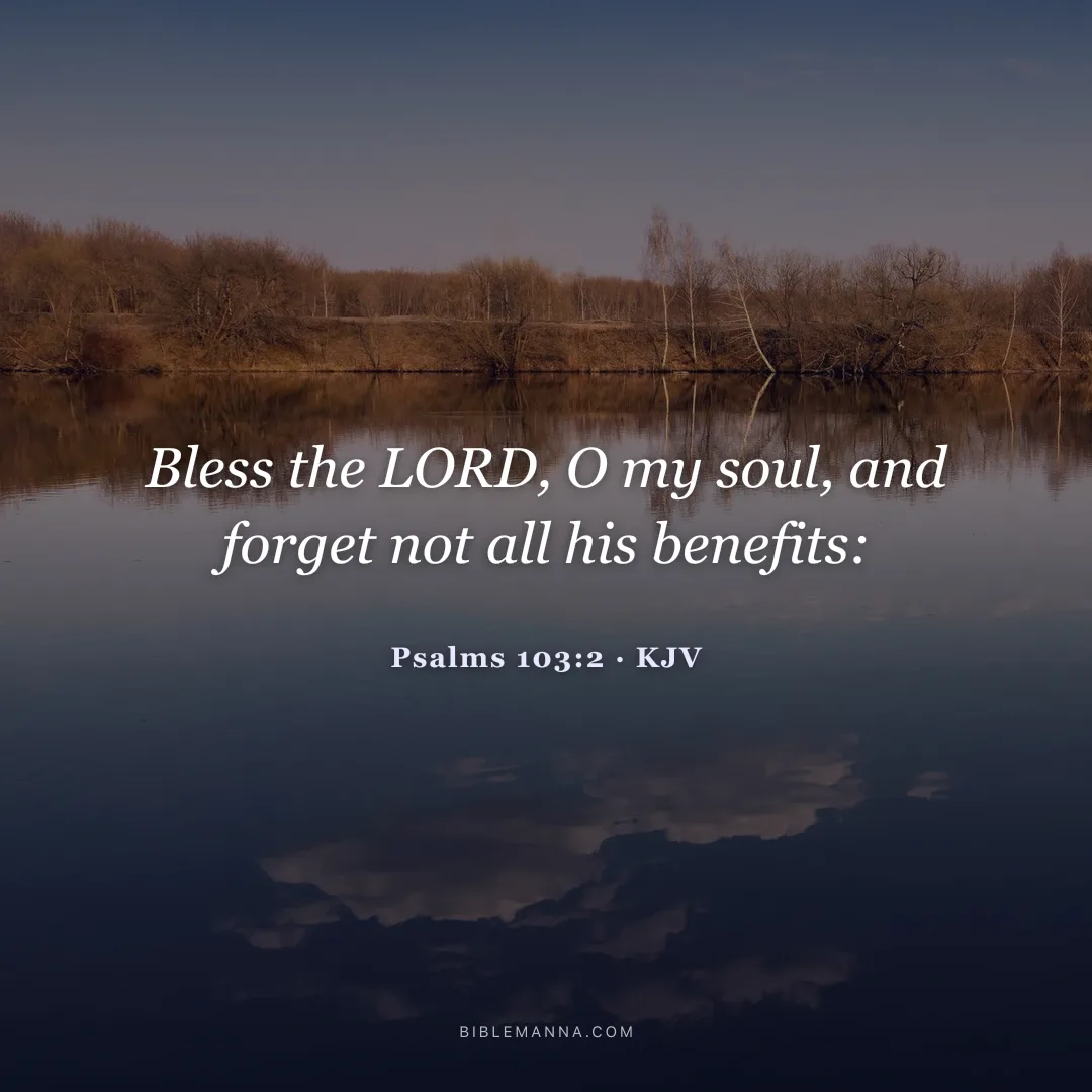 "Bless the LORD, O my soul, and forget not all his benefits:" - Psalms 103:2 (KJV)