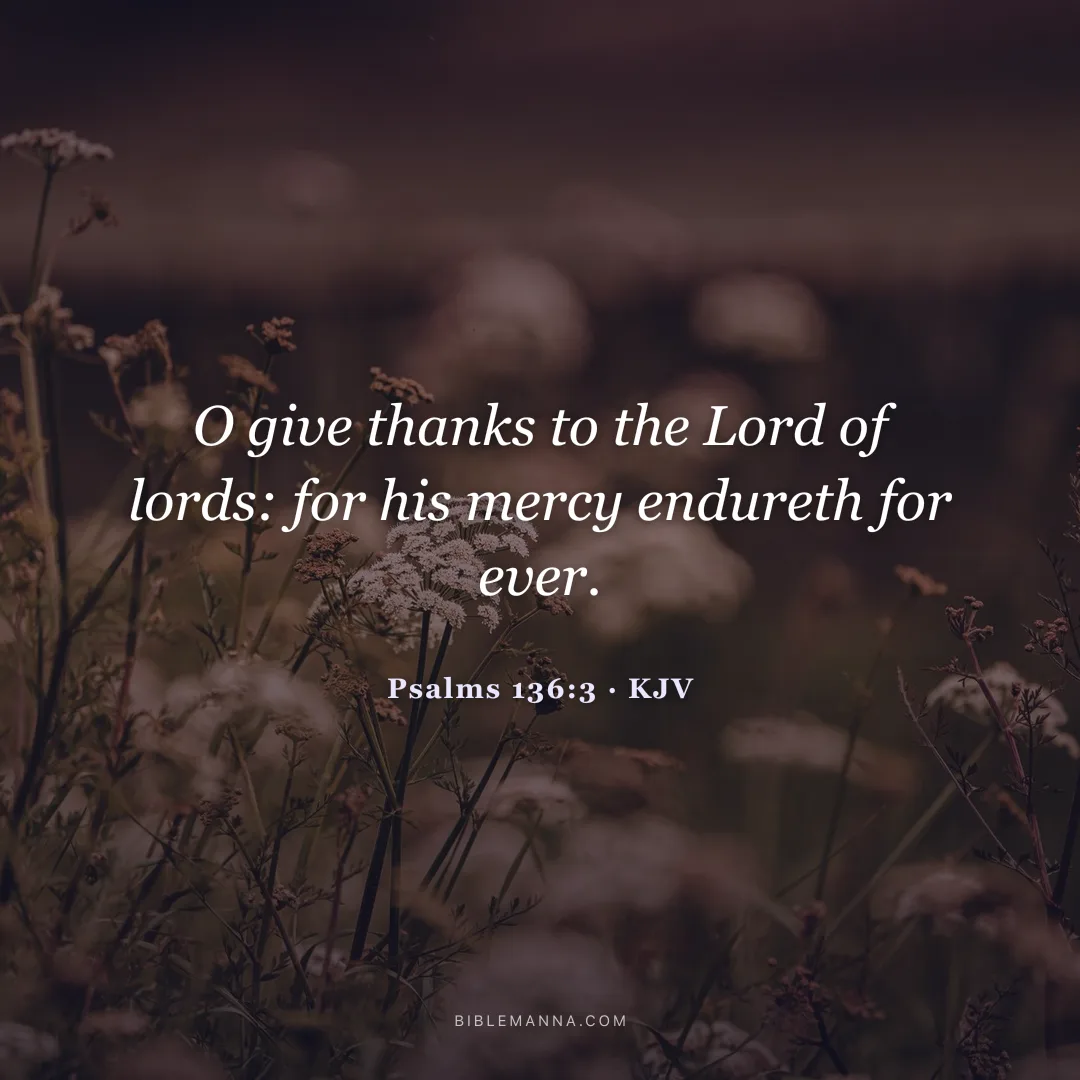 "O give thanks to the Lord of lords: for his mercy endureth for ever." - Psalms 136:3 (KJV)