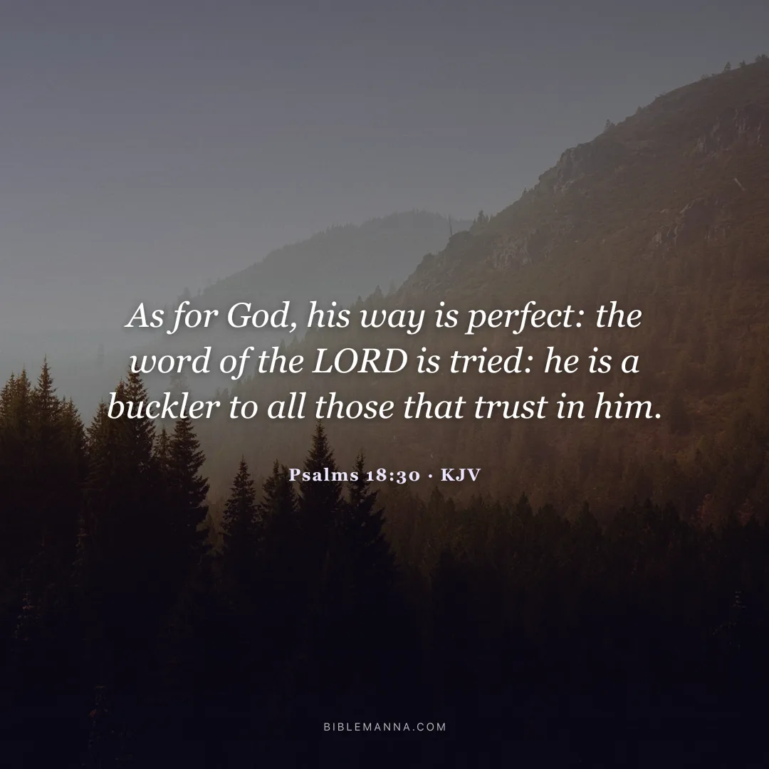 "As for God, his way is perfect: the word of the LORD is tried: he is a buckler to all those that trust in him." - Psalms 18:30 (KJV)