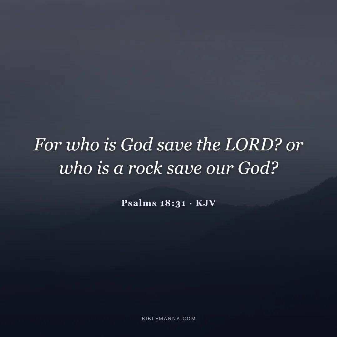 "For who is God save the LORD? or who is a rock save our God?" - Psalms 18:31 (KJV)