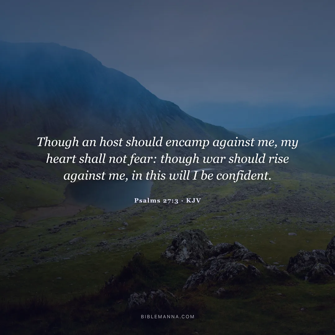 "Though an host should encamp against me, my heart shall not fear: though war should rise against me, in this will I be confident." - Psalms 27:3 (KJV)