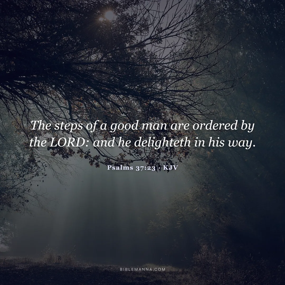 "The steps of a good man are ordered by the LORD: and he delighteth in his way." - Psalms 37:23 (KJV)