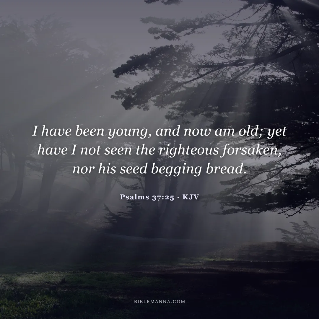 "I have been young, and now am old; yet have I not seen the righteous forsaken, nor his seed begging bread." - Psalms 37:25 (KJV)