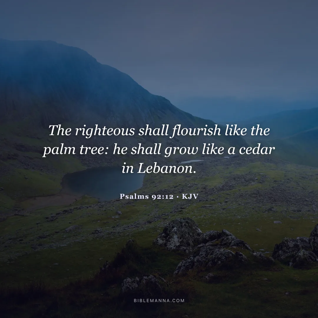 "The righteous shall flourish like the palm tree: he shall grow like a cedar in Lebanon." - Psalms 92:12 (KJV)