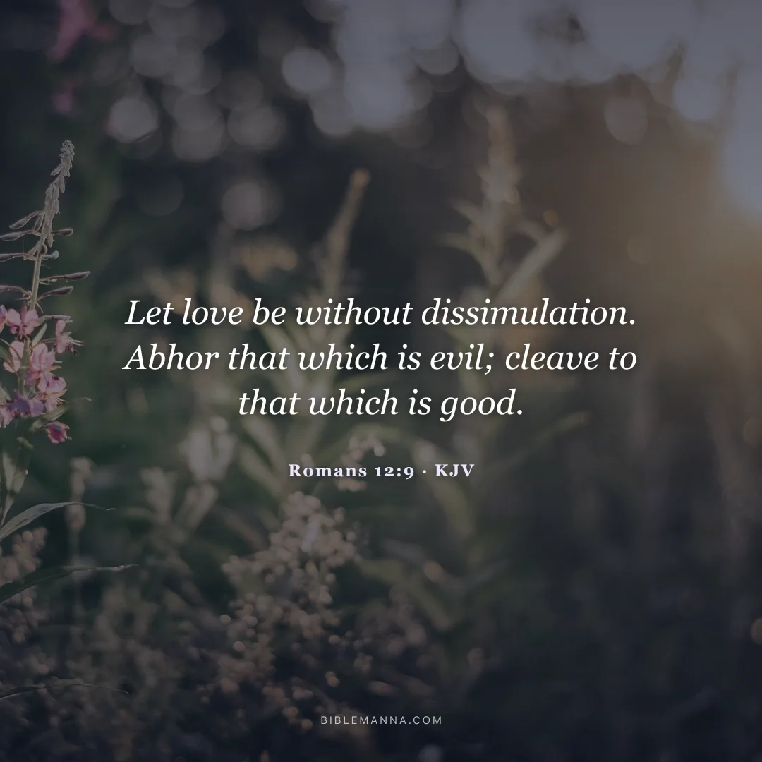 "Let love be without dissimulation. Abhor that which is evil; cleave to that which is good." - Romans 12:9 (KJV)